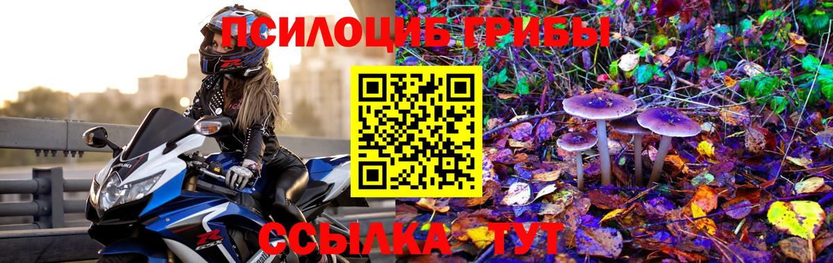 Жигулёвск  Галлюциногенные грибы GOLDEN TEACHER  Вход с VPN 